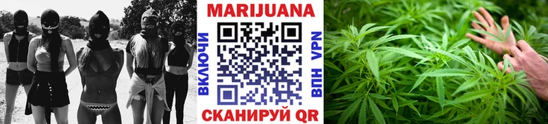 как найти закладки  hydra как войти  Конопля сатива  Судогда 